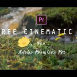 cinematic luts adobe premiere pro