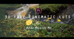 cinematic luts adobe premiere pro