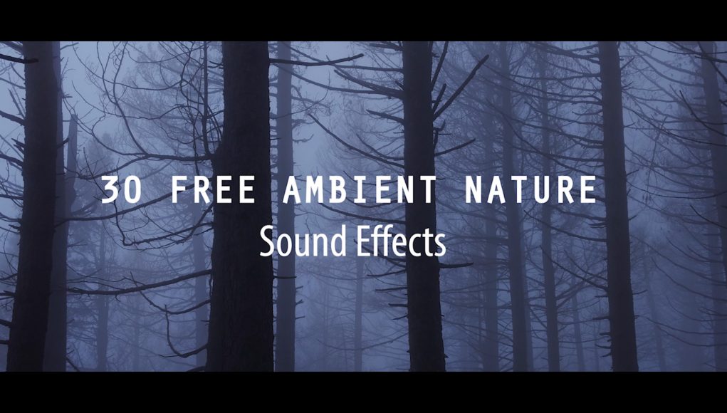 free ambient nature sounds effect