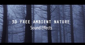 free ambient nature sounds effect