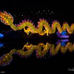 dragon-lighting-in-Nicco-park