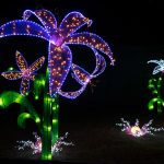 festival-of-magical-panda