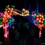 magical-panda-lights-2018