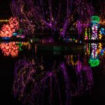 nicco-park-lighting-show