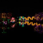 nicco-park-winter-festival