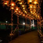 panda-light-evening-show-nicco-park