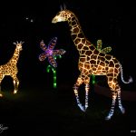 panda-show-Nicco-park