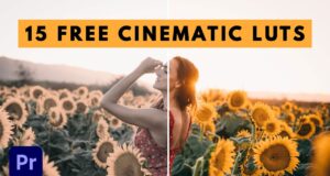 free cinematic luts