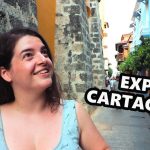 The embed thumbnail