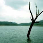 Thekkady