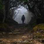 Goechala Trek in Jungle