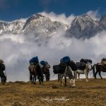 Tenzing Khang