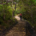 Tshoka to Dzongri Trek