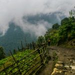 bakhim sikkim