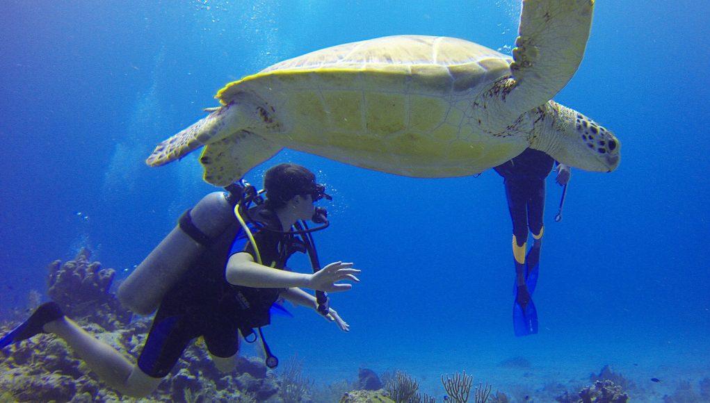 scuba driving