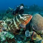 Andaman tour packages from hyderbad