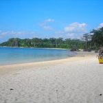 Andaman tour packages from mumbai