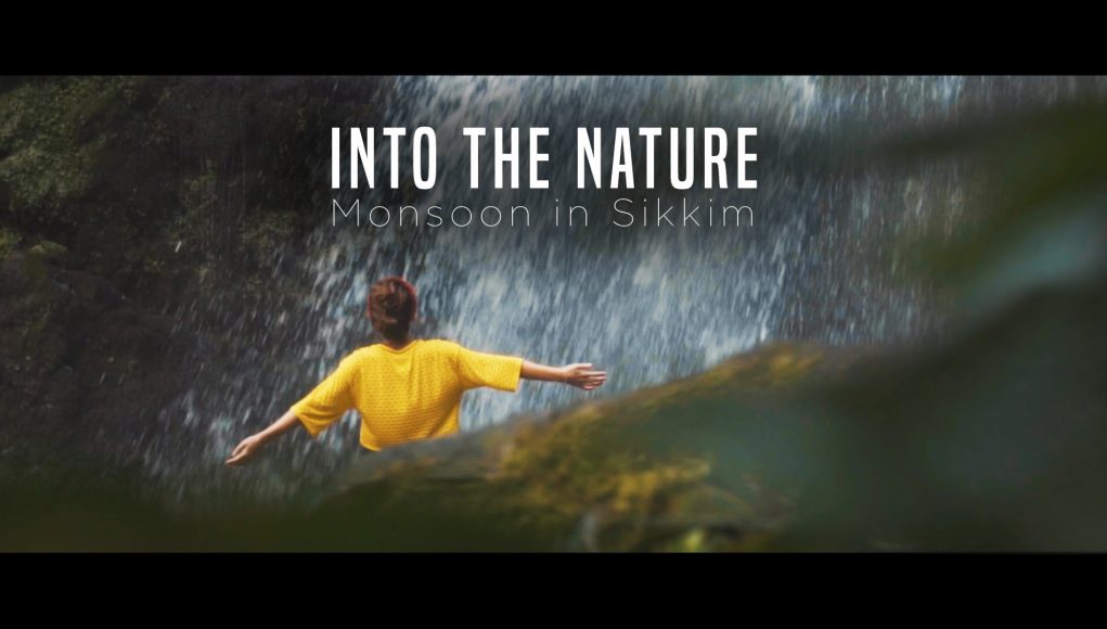 into the nature cinematic video