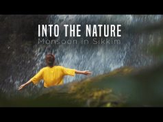 into the nature cinematic video