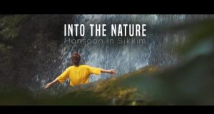 into the nature cinematic video