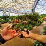 Butterfly Wonderland