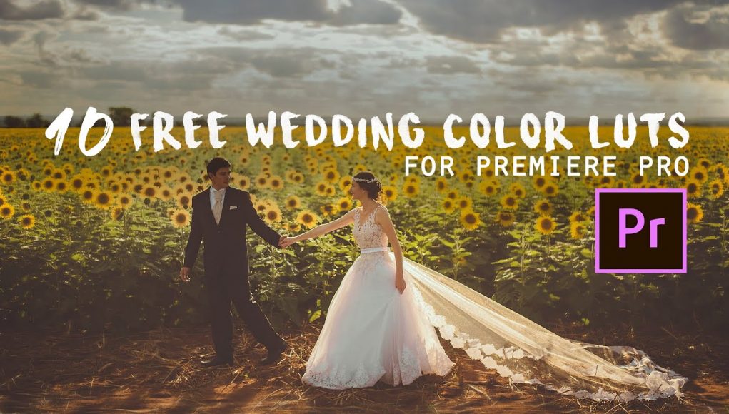 free wedding luts