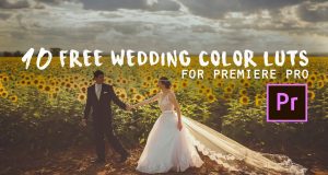 free wedding luts