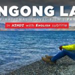 Pangong Ladakh