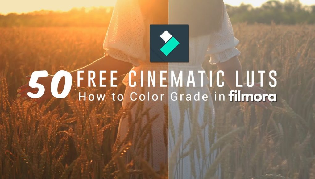 free filmora 3d luts