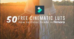 free filmora 3d luts