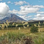 new-zealand