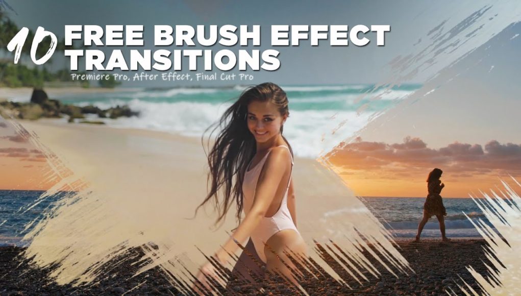free brush transitions premiere pro