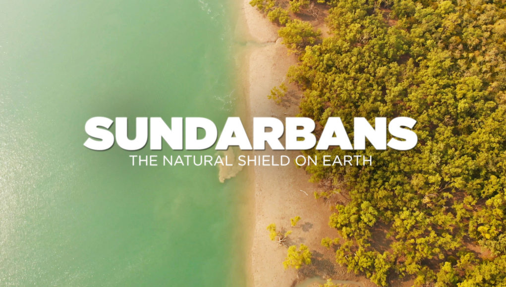 sundarban documentry