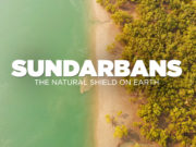 sundarban documentry
