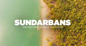 sundarban documentry