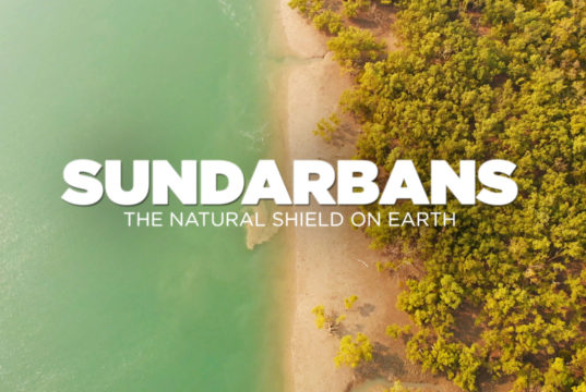 sundarban documentry