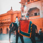 pexels-parv-choudhary-2870167