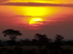 hidden beauty of Kenya