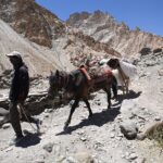 Ladakh – trekking