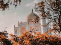 Luxury Taj Mahal Tour: An Elegant Journey into Timeless Beauty taj mahal