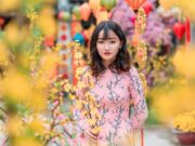 Southeast Asia Travel Guide: Culture, Tips & Connections south asian girl dating